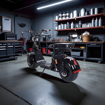 Fanco City Coco Range 2 Autonomie 110 Km 1500 Watt 40ah