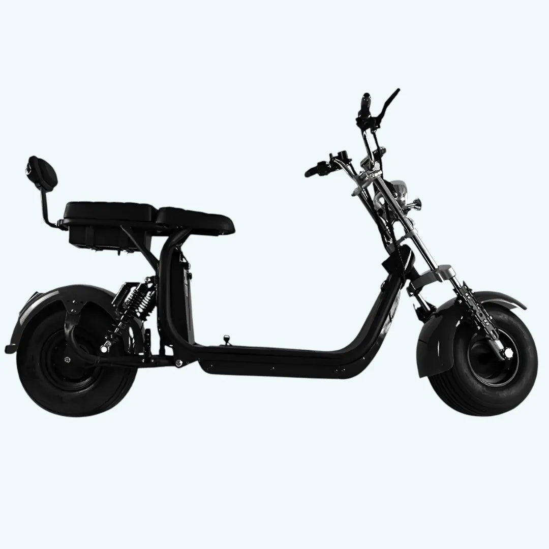 Fanco City Coco Range 2 Autonomie 110 Km 1500 Watt 40ah